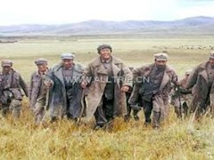 大智大勇显忠诚——我党隐蔽战线老前辈项与年传递绝密情报的故事